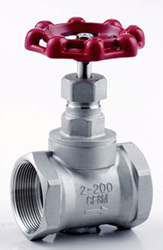 globe valve