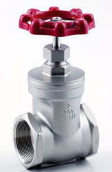 gate valve